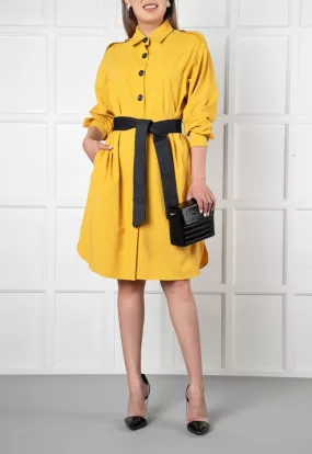 Belted Button Down Shirt Dress